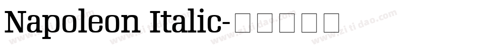 Napoleon Italic字体转换
